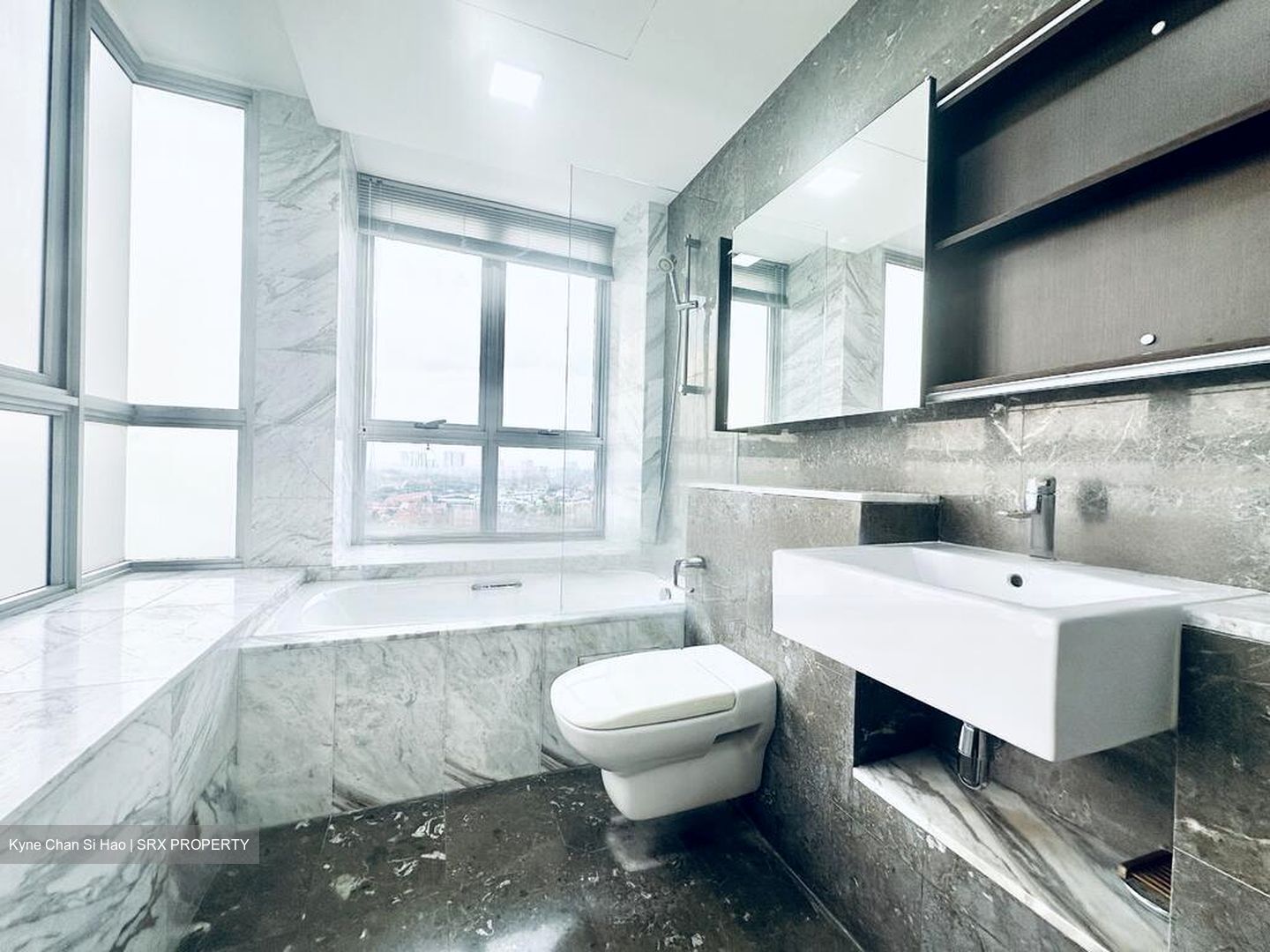 The Parc Condominium (D5), Condominium #473450821